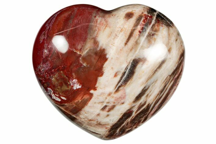 Polished Triassic Petrified Wood Heart - Madagascar #355582